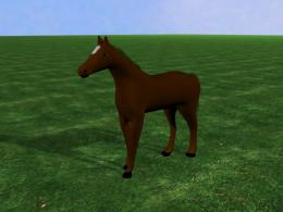 3d horse